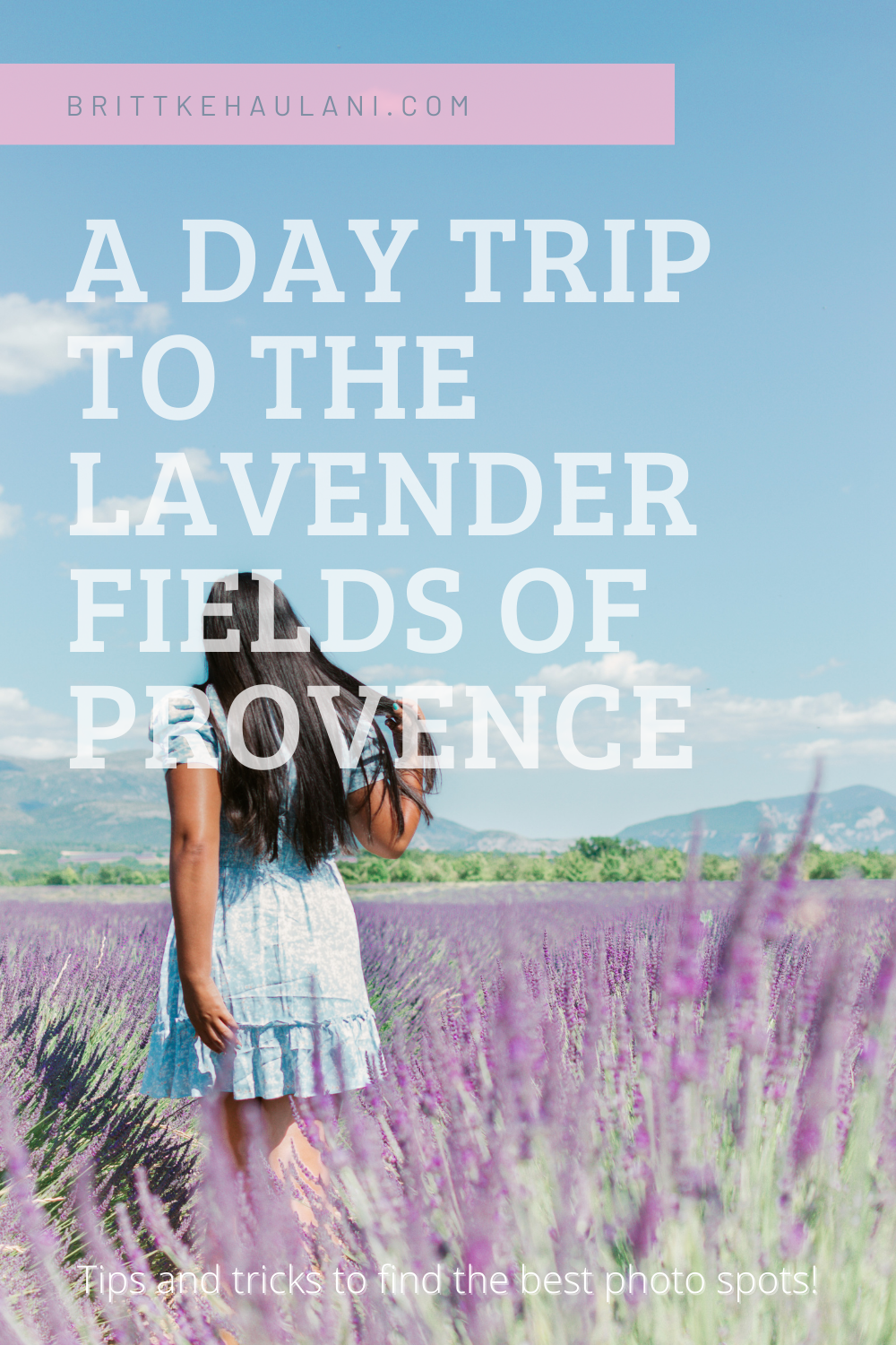 Lavender Fields Day Trip.png