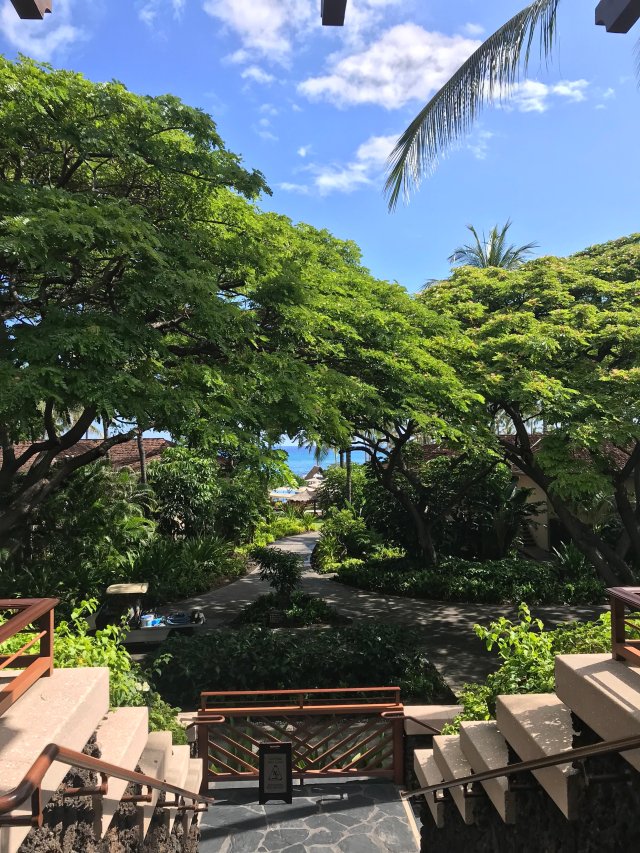 big island 6.JPG